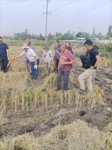 Международное сотрудничество