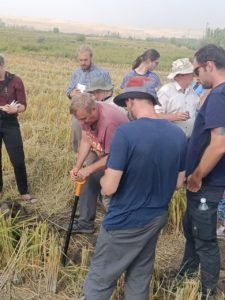 Международное сотрудничество